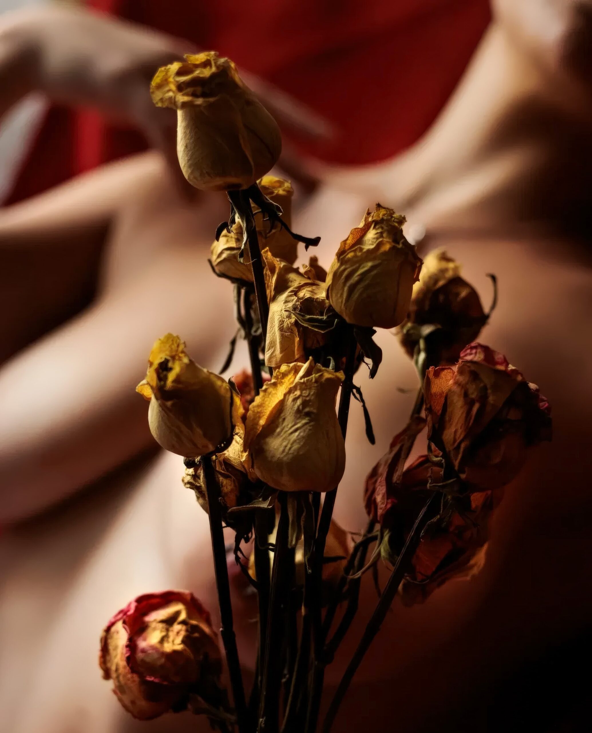 Ara.book Nude